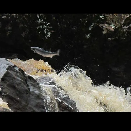 Biddy Rua's Place Killybegs